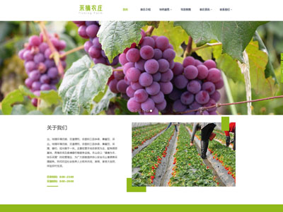 營口淺綠寬屏農莊采摘網站建設-案例